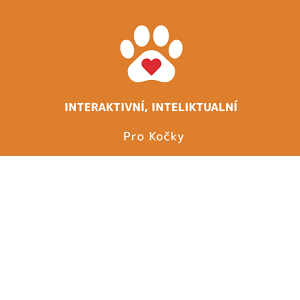 Interaktivní, inteliktualní